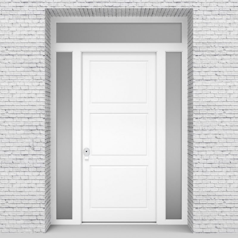 5.single Door With Two Side Panels And Transom Traffic White (ral9016)